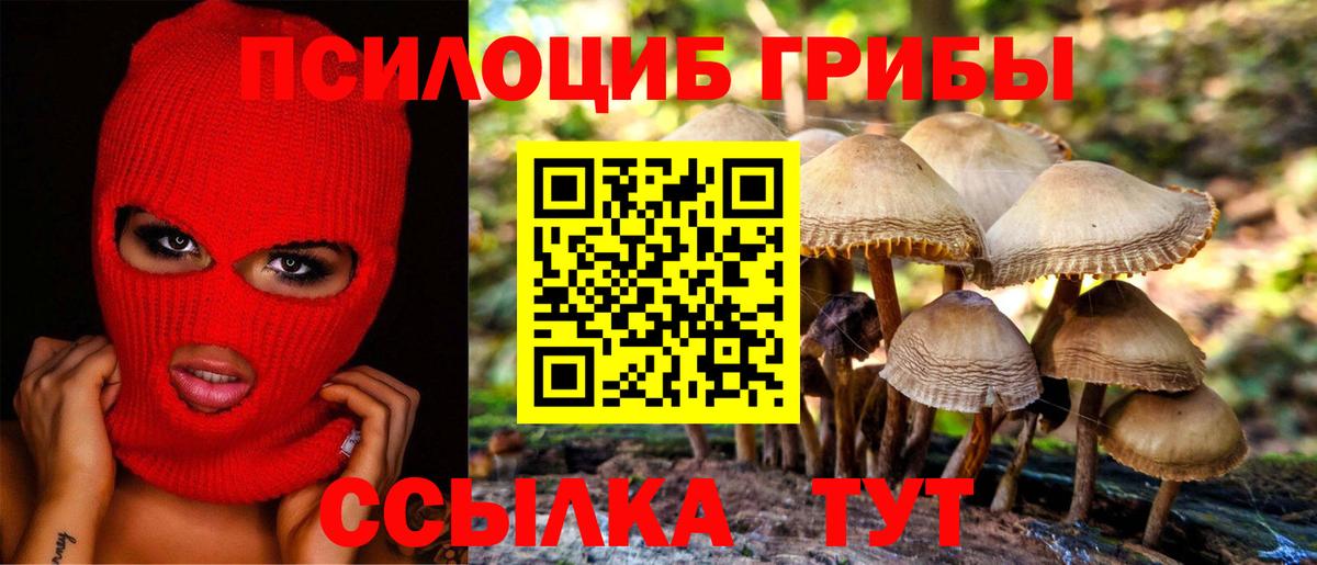 Заволжье  Галлюциногенные грибы прущие грибы  Вход с VPN 